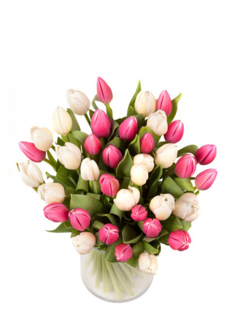 40 tulipanes blancos y rosas (incluido jarrón de regalo)
