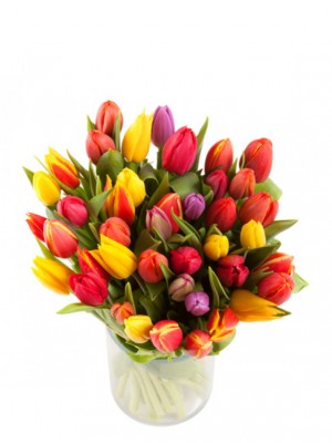 40 tulipanes variados (incluido jarrón de regalo)
