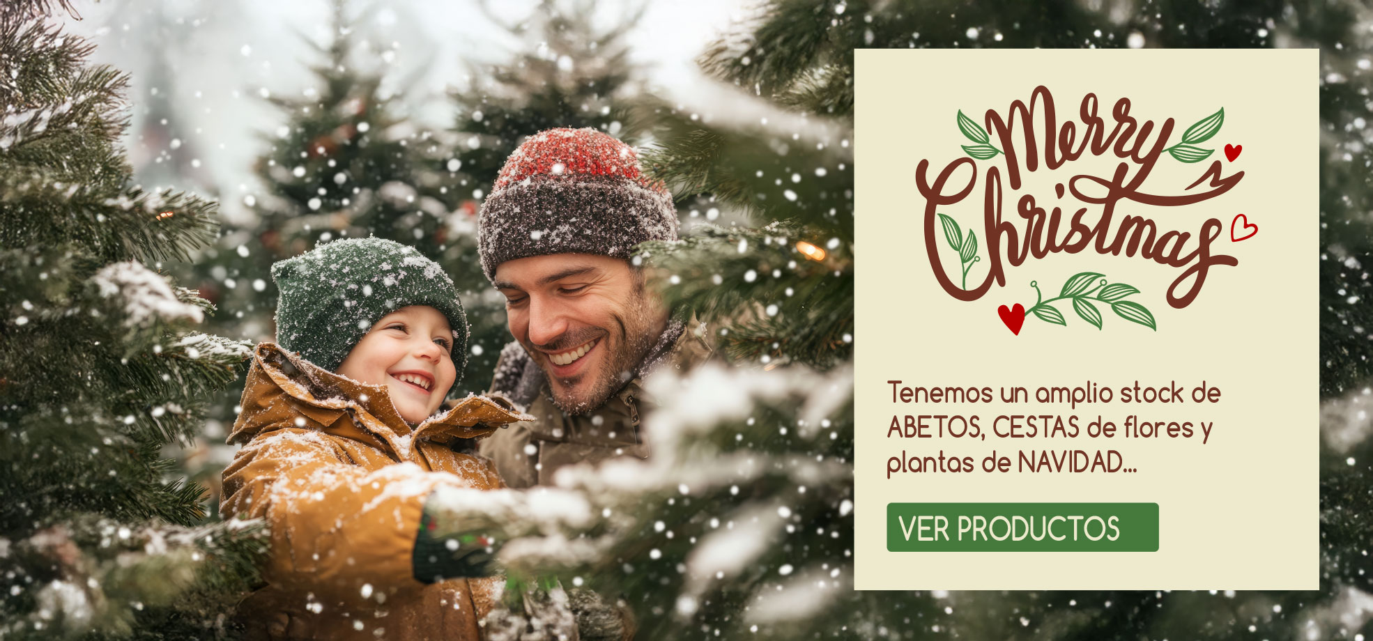 Viveros Shangai, Vivero de Flores y Plantas en Madrid especial Navidad 2026