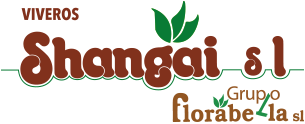 footer-logo